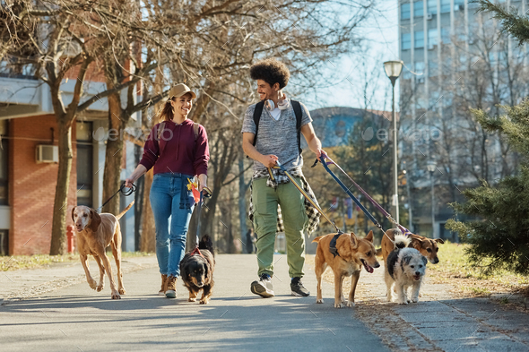 Walking and 2024 talking dog